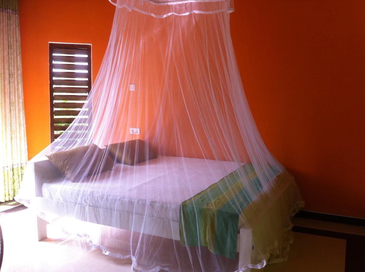 Bee Nest Bed & Breakfast 니곰보 외부 사진
